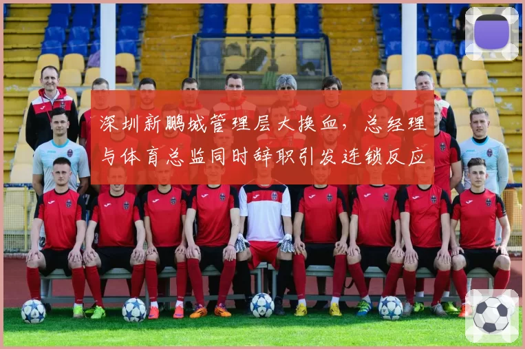 深圳新鹏城管理层大换血，总经理与体育总监同时辞职引发连锁反应
