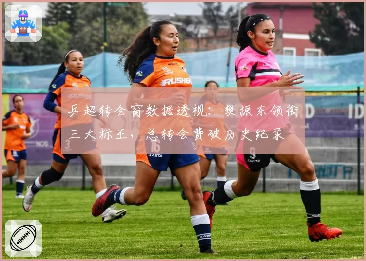 乒超转会窗数据透视：樊振东领衔三大标王，总转会费破历史纪录